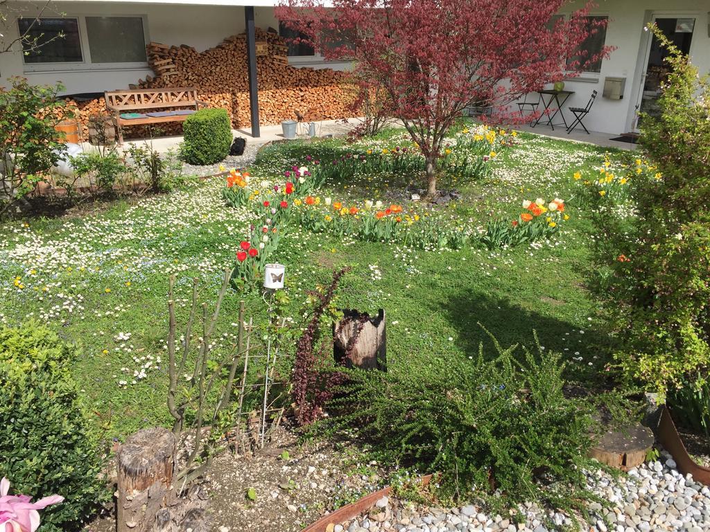Innsbruck Apartment Nigler ภายนอก รูปภาพ
